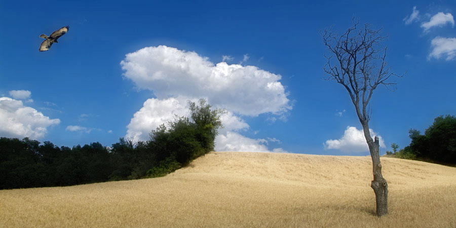 giugno